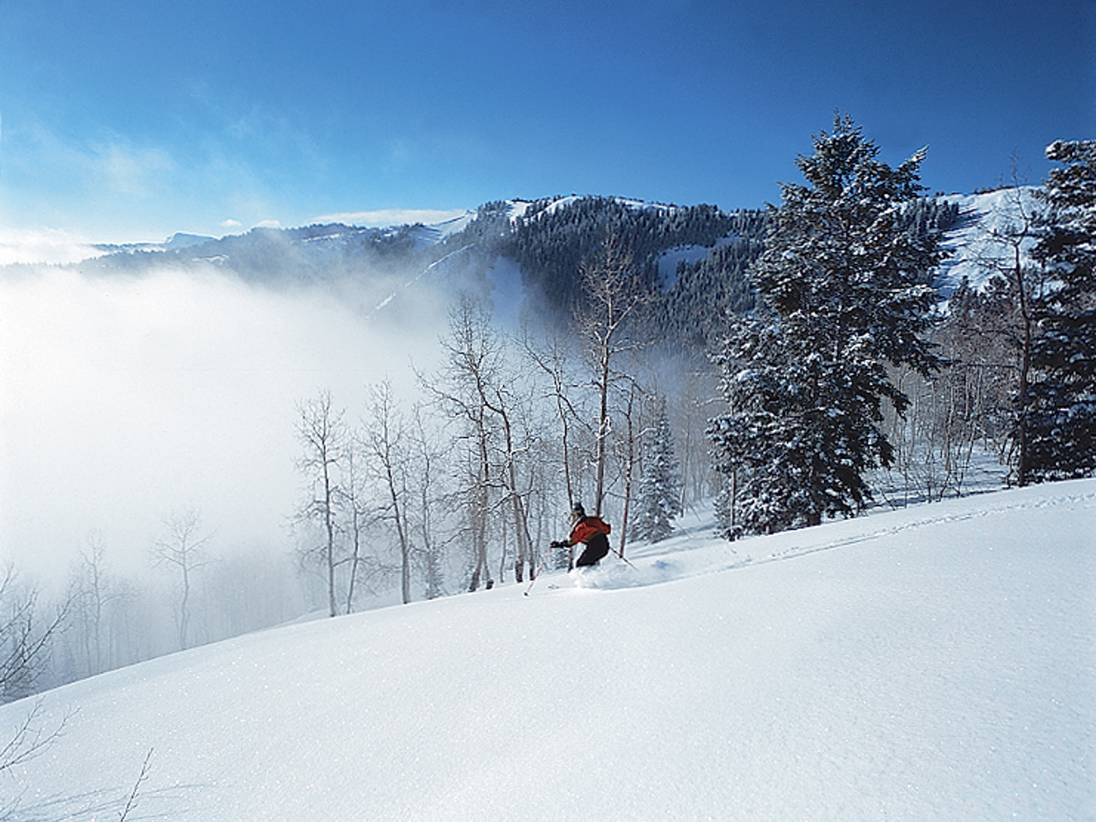 Telluride1