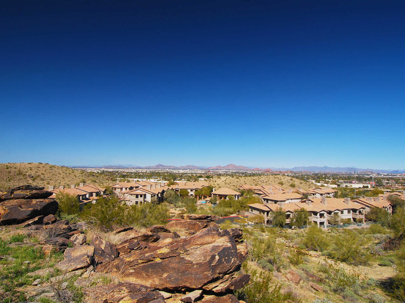 Wmphoenix Resort 2