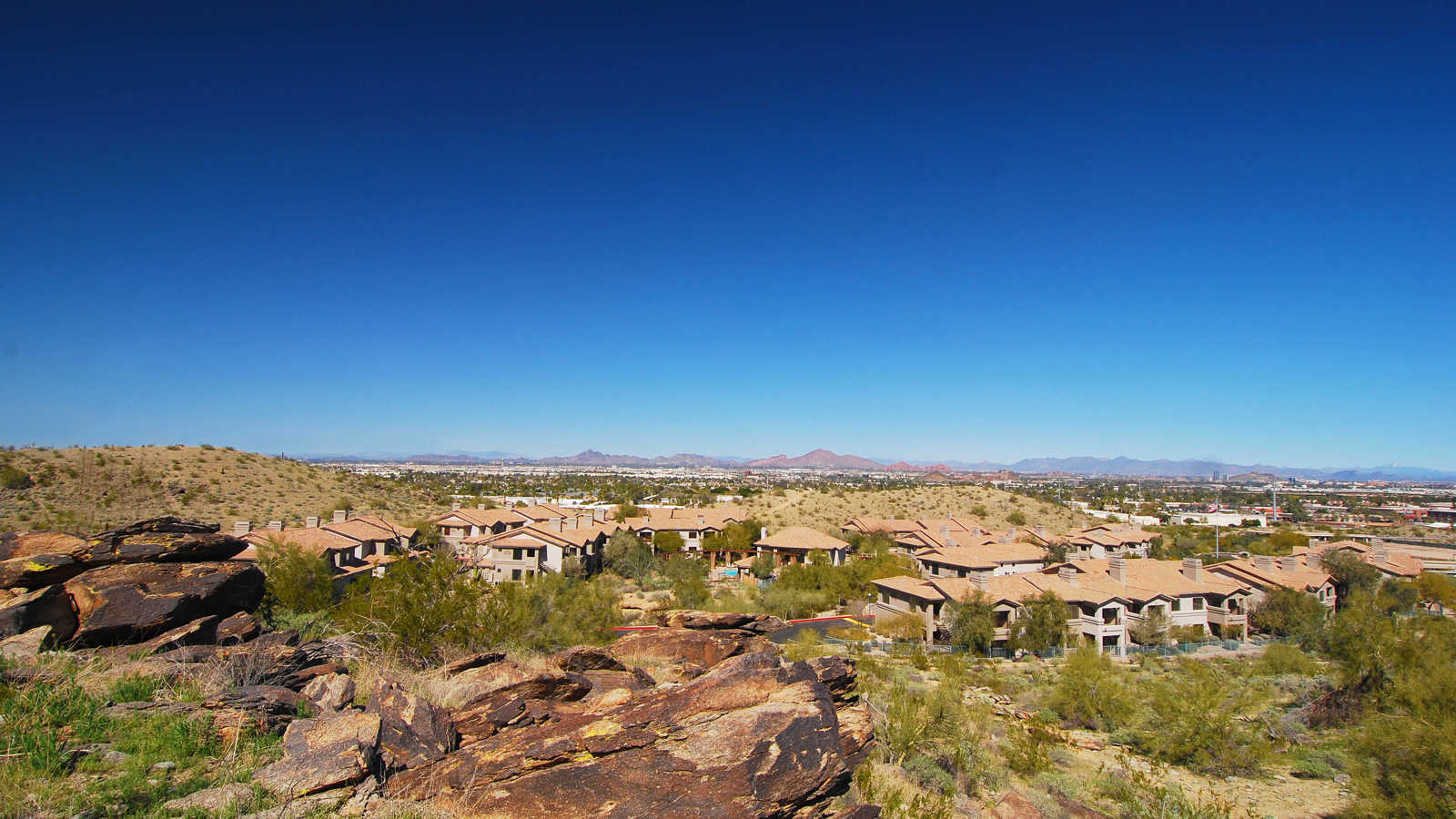 Wmphoenix Resort 2